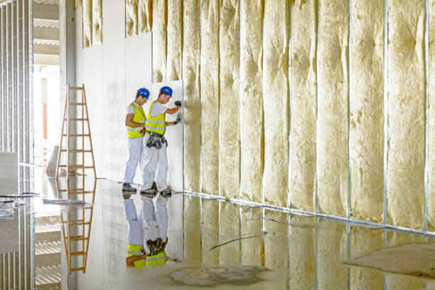 Best Local Insulation Services  in North Windham, ME